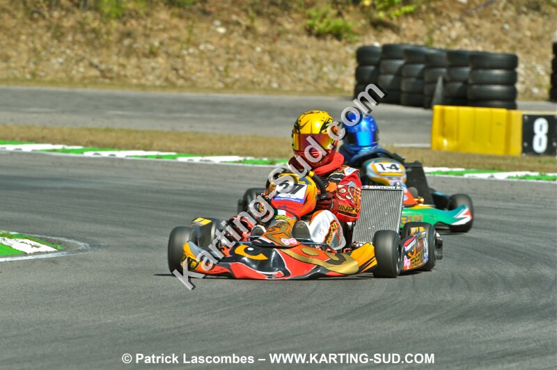 DSC_ (984).JPG